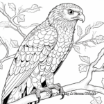 Intricate Broad-winged Hawk Coloring Pages 1