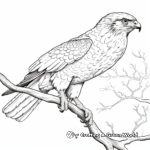 Intricate Broad-winged Hawk Coloring Pages 4