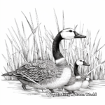 Intricate Canada Geese Coloring Pages for Adults 3