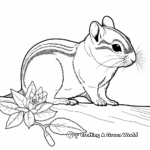 Intricate Eastern Chipmunk Coloring Sheets 1