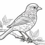 Intricate Fox Sparrow Coloring Pages for Adults 2