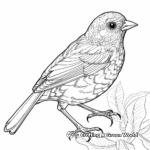 Intricate Fox Sparrow Coloring Pages for Adults 4