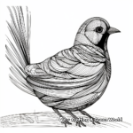 Intricate Gambel's Quail Coloring Pages 1