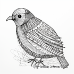 Intricate Gambel's Quail Coloring Pages 3