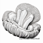 Intricate Geoduck Clam Coloring Pages for Artists 4