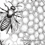 Intricate Honeycomb Structure Coloring Pages 1