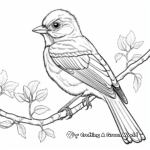 Intricate Hooded Oriole Coloring Pages 1