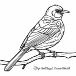 Intricate Hooded Oriole Coloring Pages 2