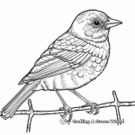 Intricate Hooded Oriole Coloring Pages 4