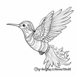Intricate Hummingbird Coloring Pages 3