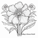 Intricate Iris Flower Coloring Pages for Adults 4