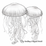 Intricate Jellyfish Coloring Pages For Adults 1