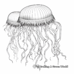 Intricate Jellyfish Coloring Pages For Adults 2