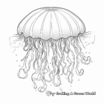 Intricate Jellyfish Coloring Pages For Adults 3