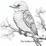 Intricate Kookaburra Art Coloring Pages for Adults 1