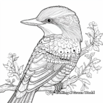 Intricate Kookaburra Art Coloring Pages for Adults 4