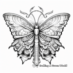 Intricate Monarch Butterfly Mandala Coloring Pages 2