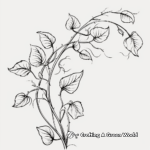 Intricate Morning Glory Vine Coloring Pages 2