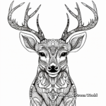 Intricate Mule Deer Head Coloring Pages 4