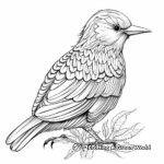 Intricate Northern Flicker Woodpecker Coloring Pages 4
