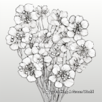 Intricate Panicle Hydrangea Coloring Pages 4