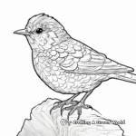 Intricate Rock Wren Coloring Pages for Adults 4
