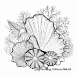 Intricate Sea Shell Coloring Pages for Adults 2