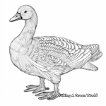 Intricate Snow Goose Coloring Pages 2