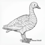 Intricate Snow Goose Coloring Pages 4