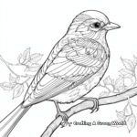 Intricately-Designed Mockingbird Coloring Pages 1