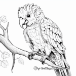 Intriguing Macaw Mystic Coloring Pages 1