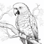 Intriguing Macaw Mystic Coloring Pages 3