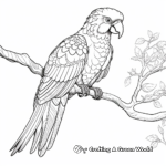 Intriguing Macaw Mystic Coloring Pages 4