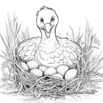 Inviting Turkey Nest Coloring Pages 2