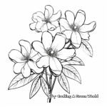 Jasmine Flower Coloring Pages: A Fragrant Experience 2