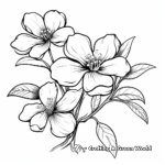 Jasmine Flower Coloring Pages: A Fragrant Experience 4