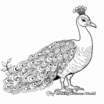 Java Green Peacock: Detailed Coloring Pages for Adults 2