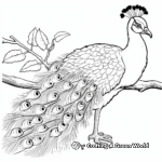 Java Green Peacock: Detailed Coloring Pages for Adults 3