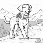 Journey of a Rescue Dog Coloring Pages 2