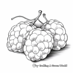 Juicy Raspberry Close-Up Coloring Pages 1