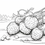 Juicy Raspberry Close-Up Coloring Pages 2