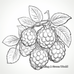 Juicy Raspberry Close-Up Coloring Pages 3
