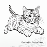 Jumping Tabby Cat Action Coloring Pages 4