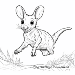 Jumping Wallaby Coloring Pages for Kids 1