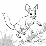 Dibujos para colorear de Wallaby saltarín para niños 3