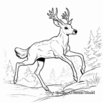 Jumping White Tailed Deer Action Scene Coloring Page 1