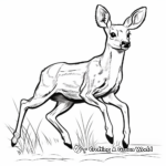 Jumping White Tailed Deer Action Scene Coloring Page 4