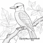 Jungle Life: Kookaburra in Wild Coloring Pages 4