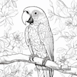 Jungle Scene with Macaw Coloring Pages 3