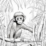 Jungle Scene: Spider Monkey Coloring Pages 1